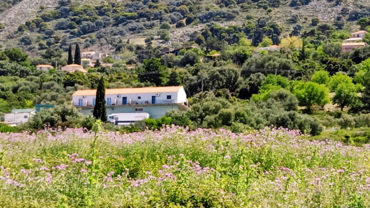 Aelia Sea Apartment Argostoli  Exterior photo